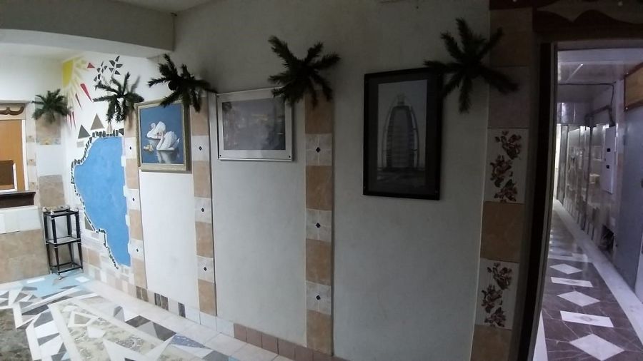 Өз дәлізінің жанашыры