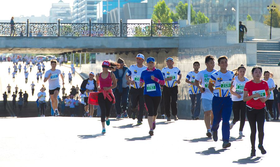 Салаға оңтайландыру жүргізіледі