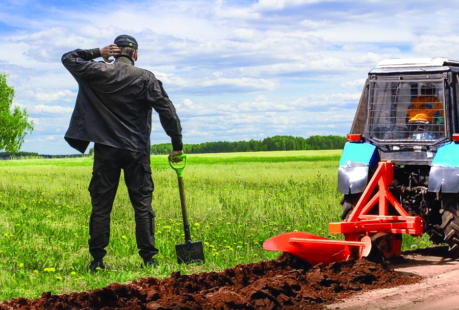 Тоқымдай жер де табыс әкелуі тиіс