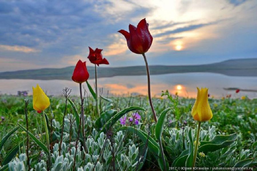 Үш тал өлең