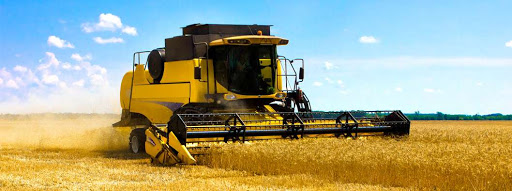 Астықтың көлемі де, сапасы да артты