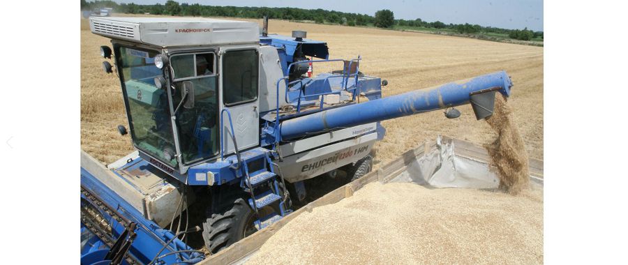 Диқандар дәнді дақыл оруды аяқтады