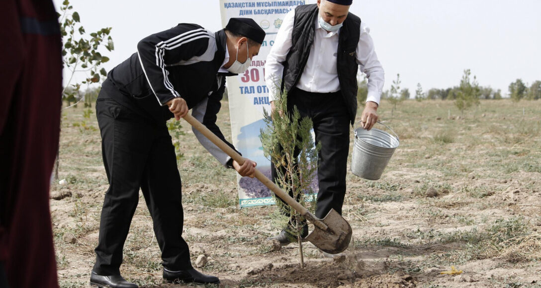 Жамбыл облысында мешіт қызметкерлері тал отырғызуда