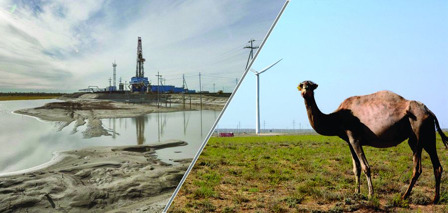 Шетпеліктер неге шырылдап жүр?!