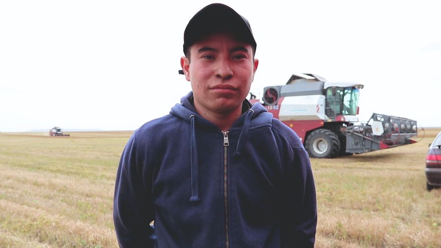 Астық жинаудағы алғашқы арпалыс