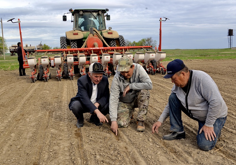 Тәтті түбір алқабында еңбек дүбірі басталды
