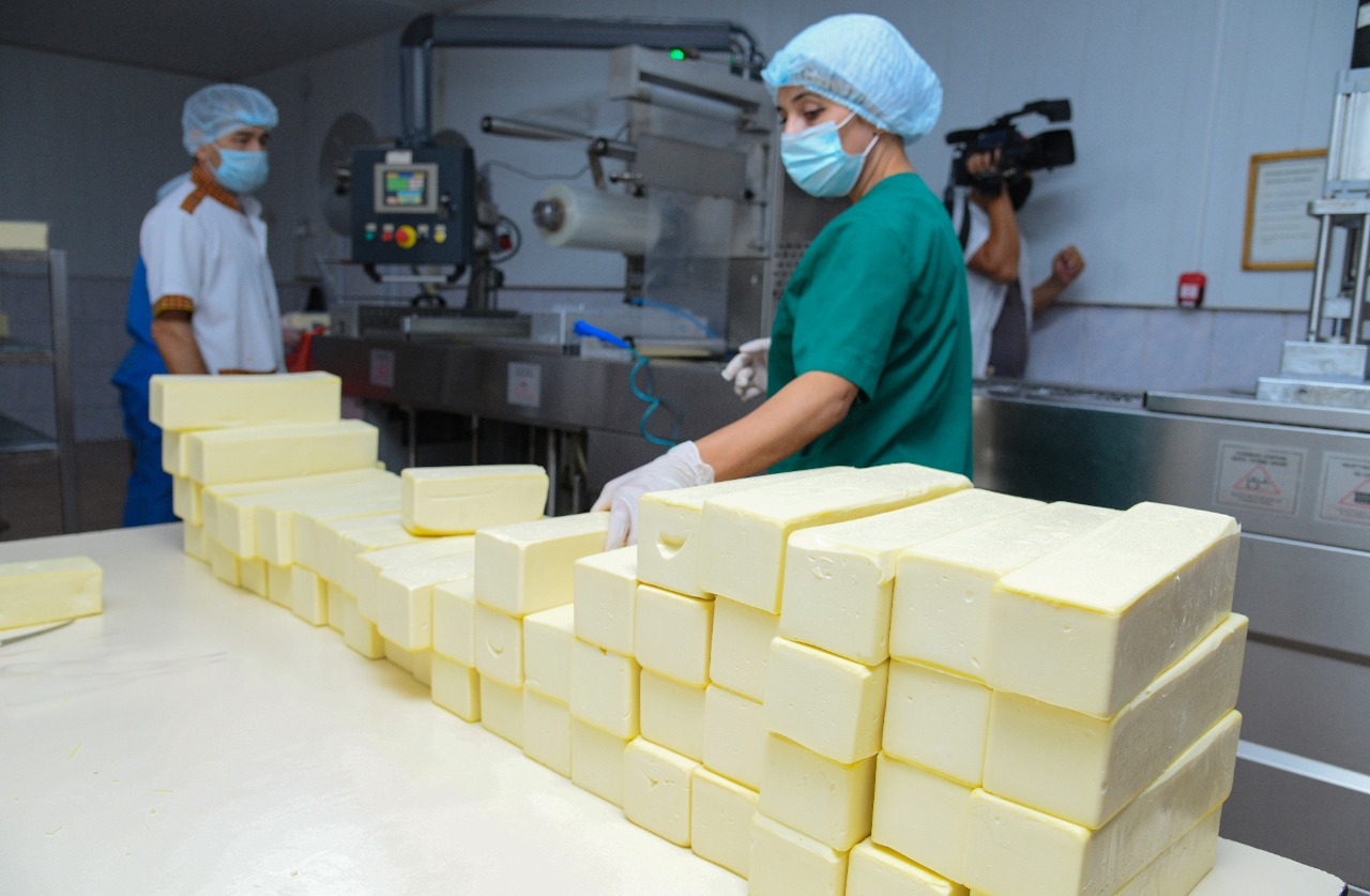 Шымкенттіктердің ең көп тұтынатын тағамы – сүт пен сүт өнімдері