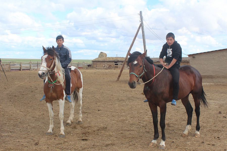 Жылқы баптау – қанға біткен қасиет