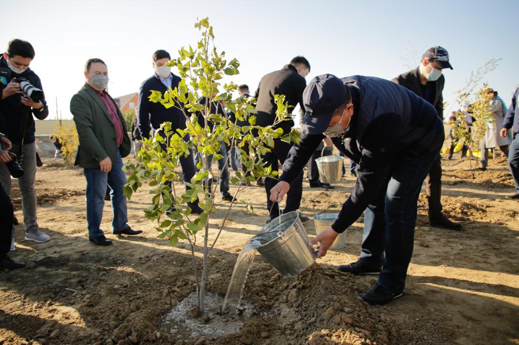 Атыраудағы саябақта 1000 жеміс ағашы өседі