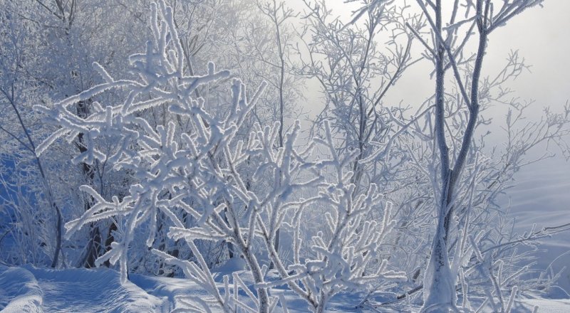 Көкшенің қысы тым ұзақ