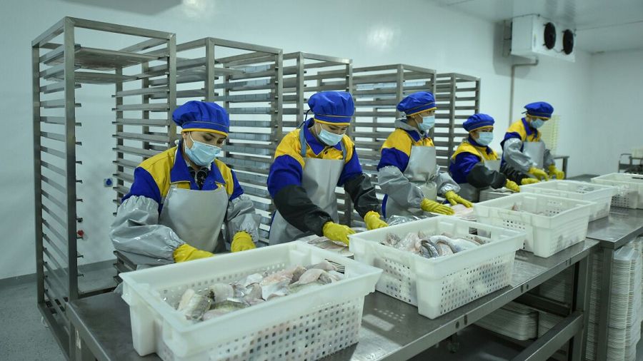 Өсіре білсек балық та, пайда әкелер халыққа