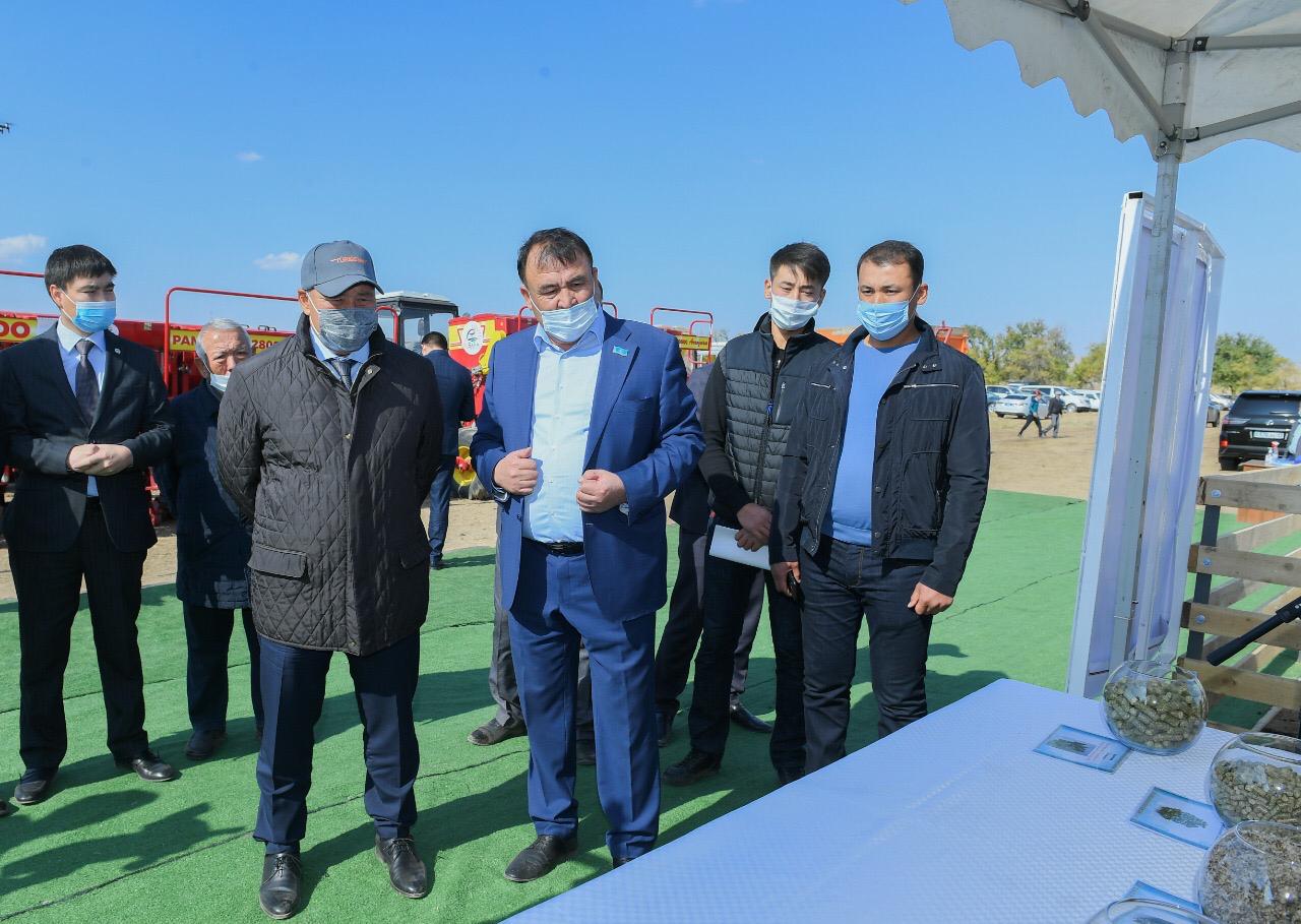 Түркістанда күзгі егін жинау науқаны қорытыланды