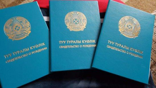 Үшемнің анасына көмектесті