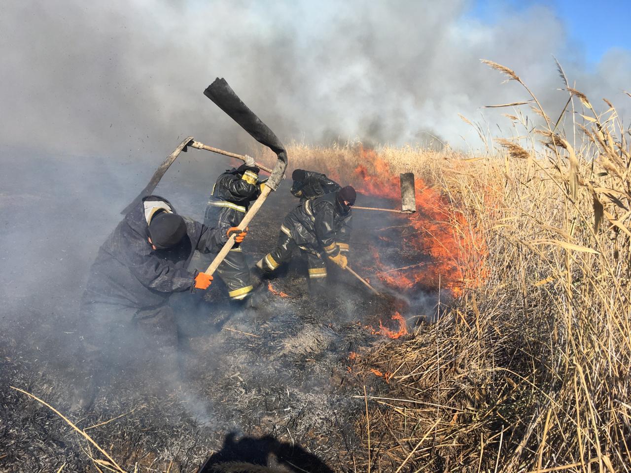 Атырауда бес күннен бері қамыс өрті сөнбей жатыр