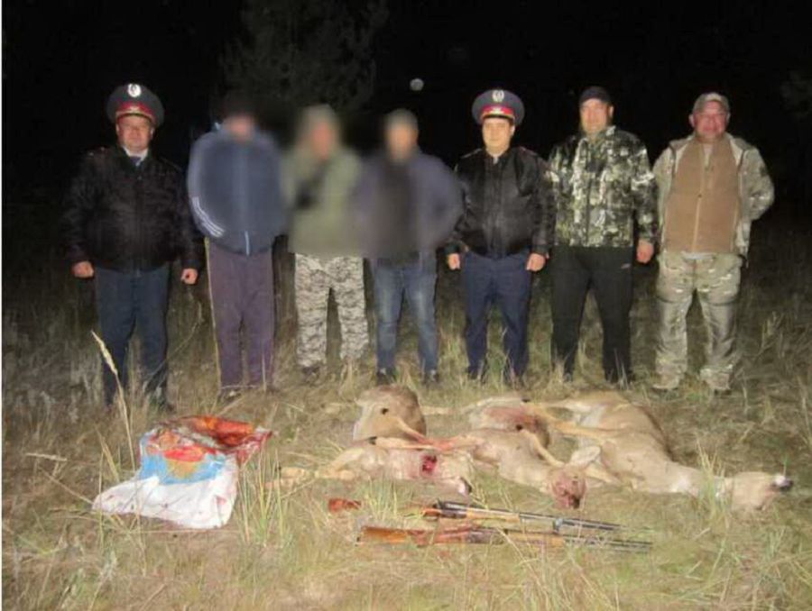 Экологиялық қылмыс өршіп тұр