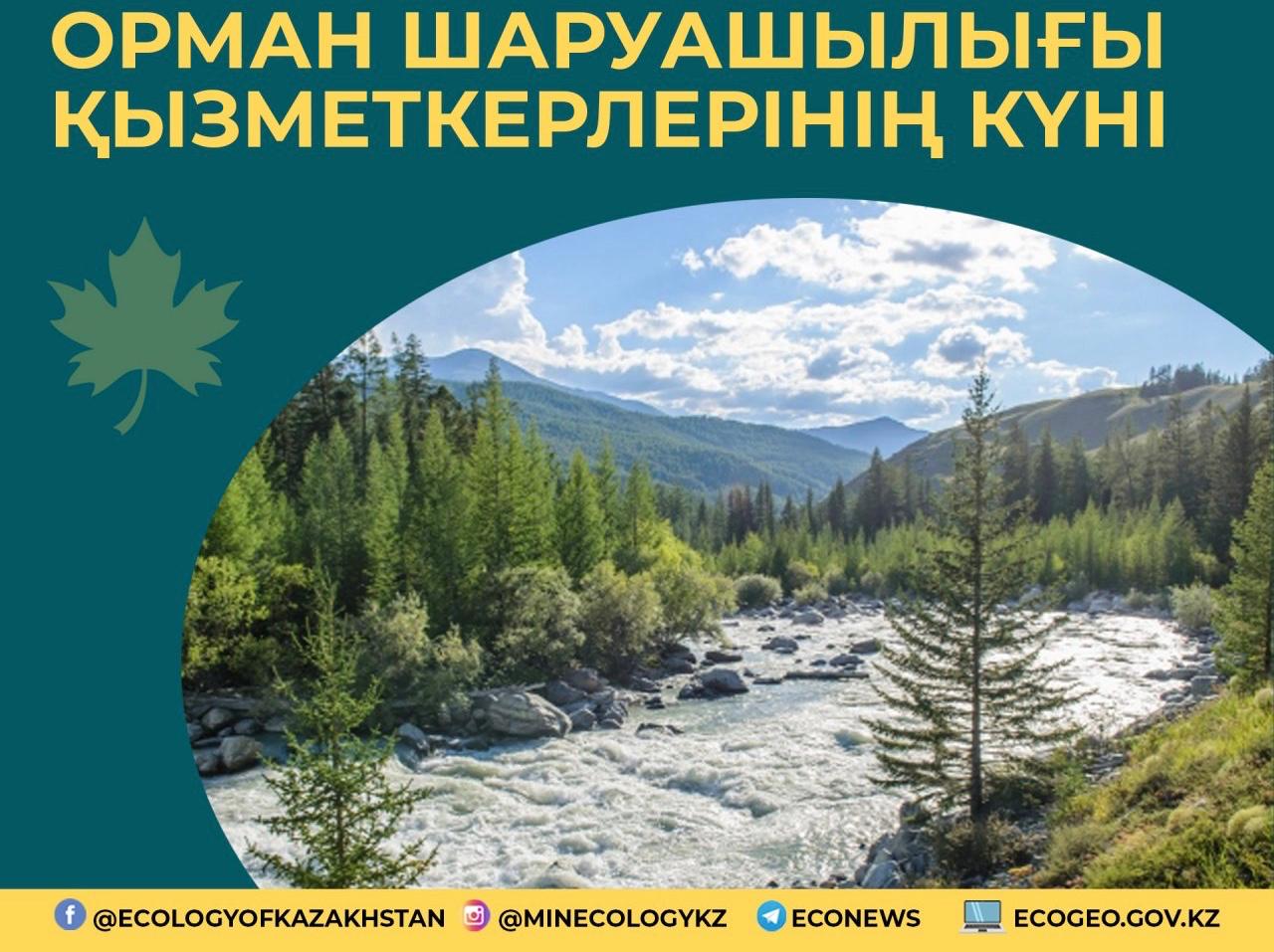 Экология министрі орман шаруашылығы мамандарын кәсіби мерекесімен құттықтады