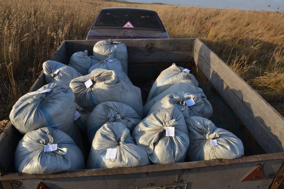 Артемия шаянының 7 мың тонна жұмыртқасын заңсыз өндіргендер ұсталды