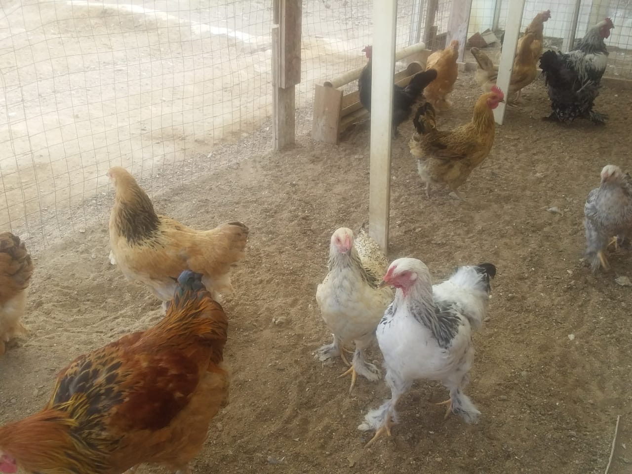 Түпқараған ауданында 55 адам қайтарымсыз грант алды