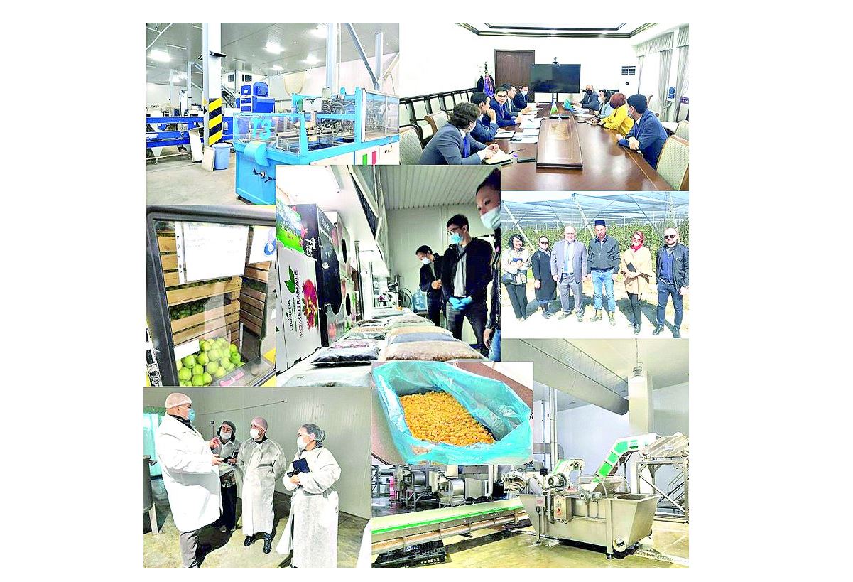 Ақиқатты айту – ардың ісі (Түйткілді мәселені мемлекет пен қоғам өкілдері бірлесе талқылады)