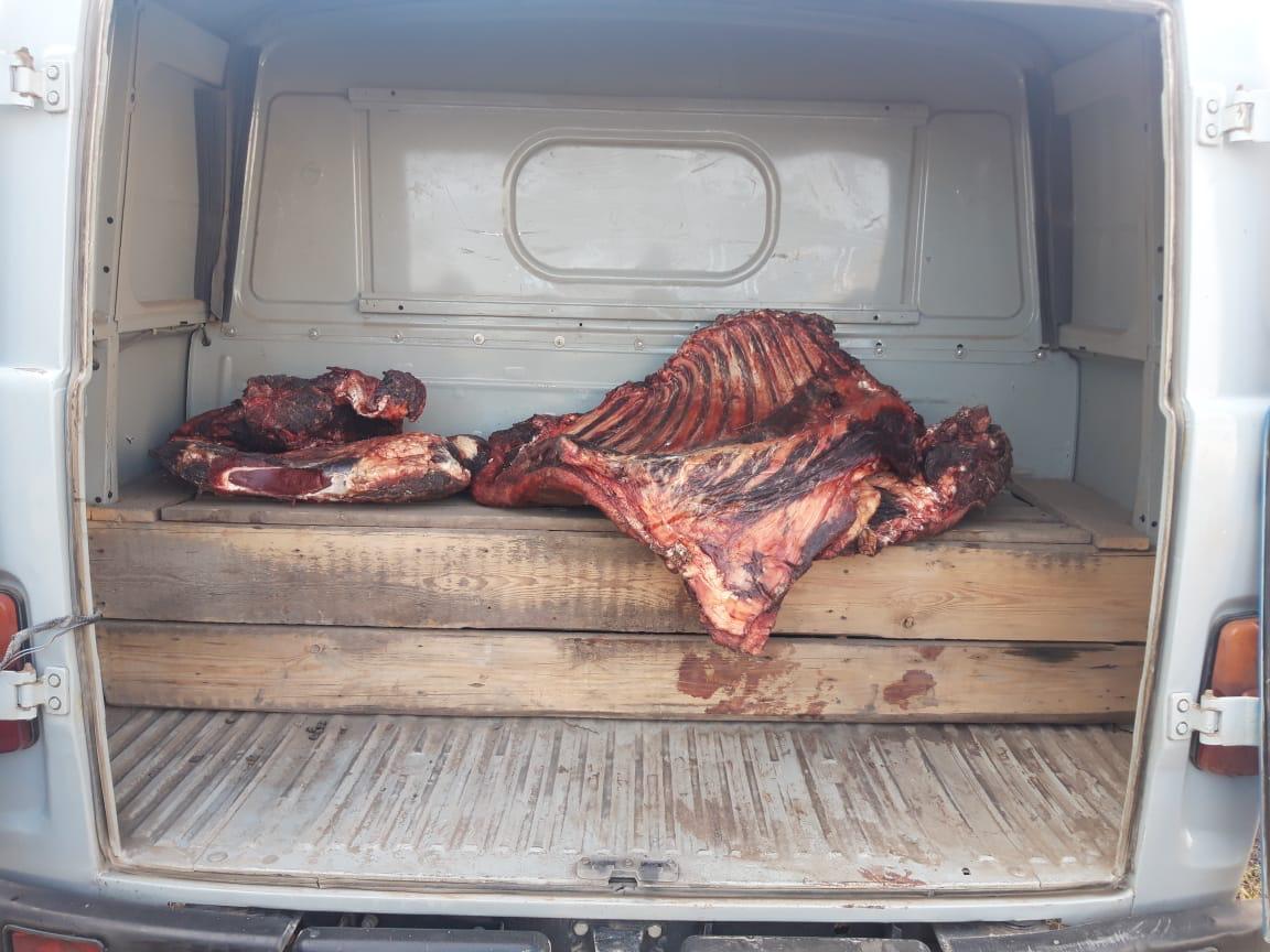 Қостанай облысында өрістегі малды атып алған аңшылар ұсталды