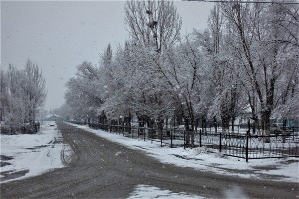 Қысқа дайындық толық аяқталды