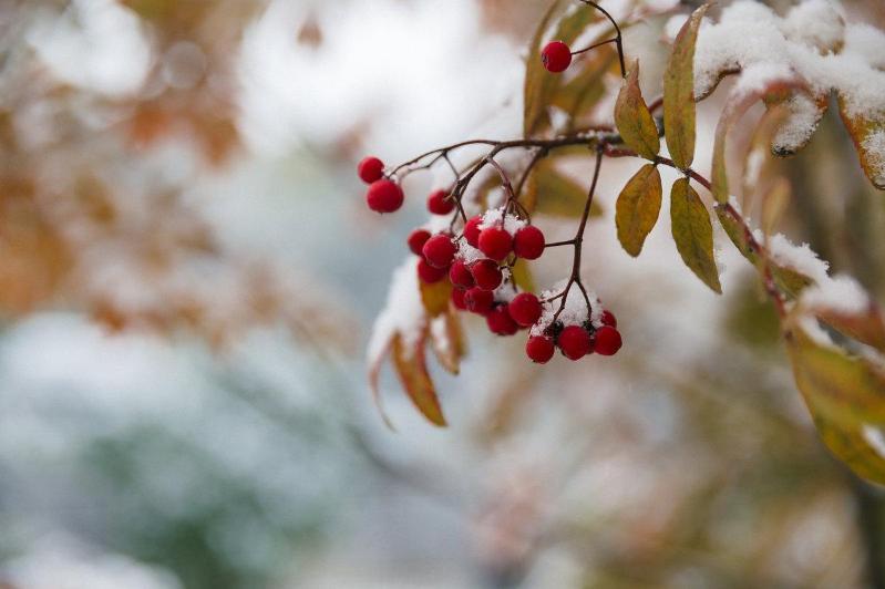 Қазақстанның басым бөлігінде қар мен жаңбыр жауады