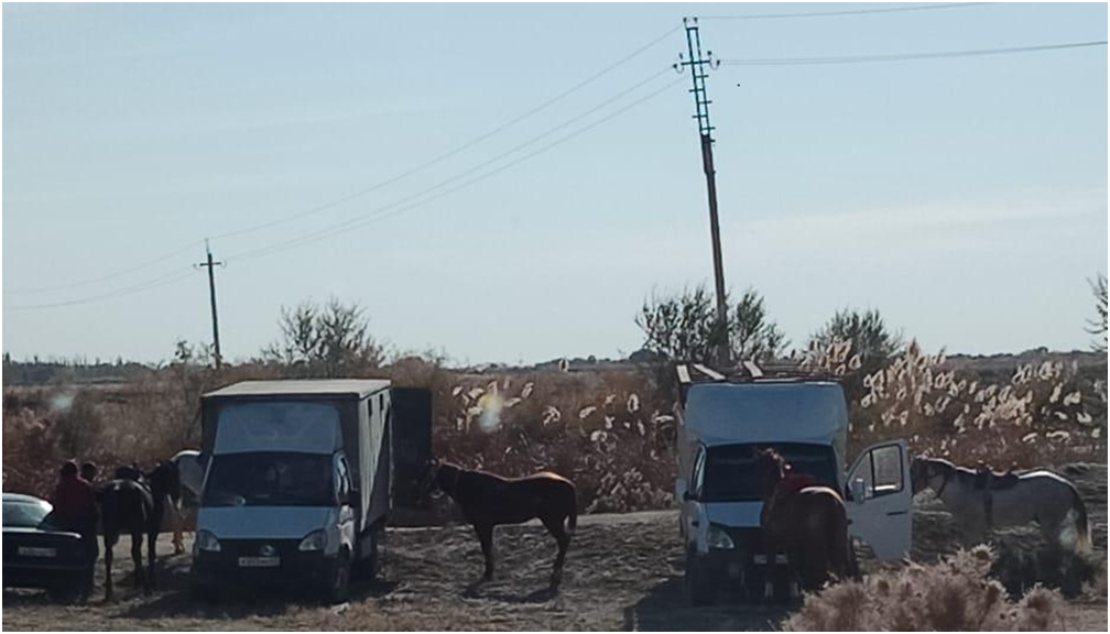Карантиннің кезінде көкпар тартқан