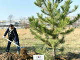 Алматы Ботаника бағында БҰҰ 75 жылдығы құрметіне Бейбітшілік аллеясы салынды