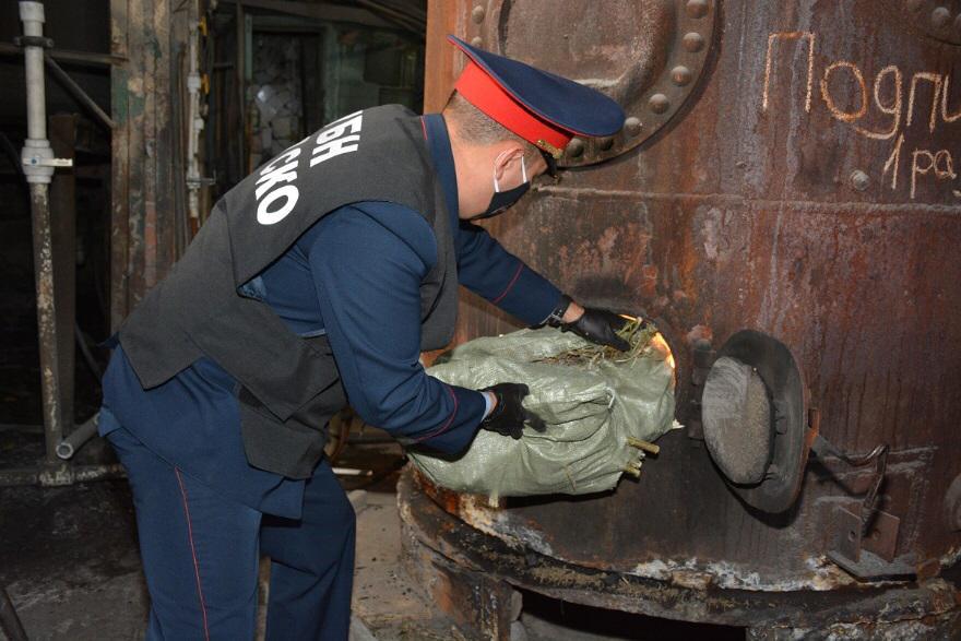 Комиссияның қатысуымен 100 келідей есірткі күйдірілді