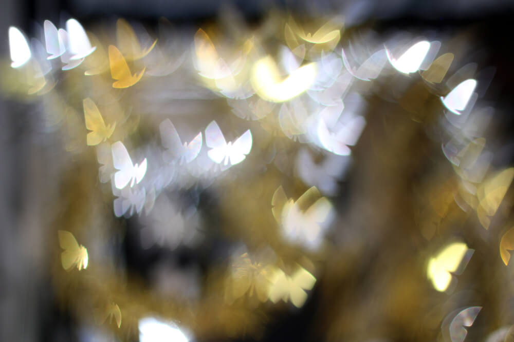 Көбелек эффекті