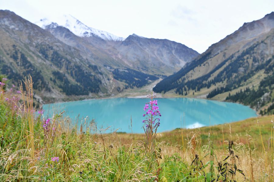 «Ұлттық парктің басты проблемасы – қоқыс»