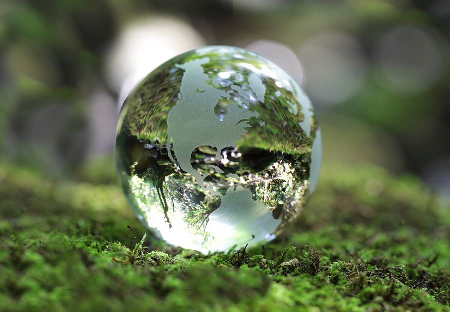 Қазақстандық қос қорық биосфералық резерваттарға қосылды