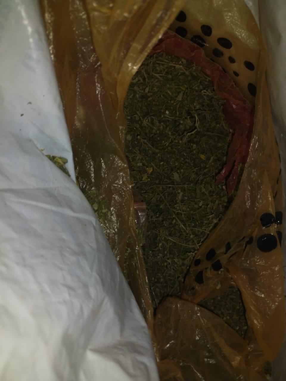 СҚО тұрғыны 680 грамм марихуанамен ұсталды