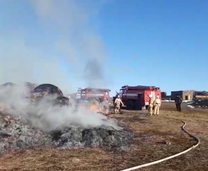 Шаруашылық жетекшісі Ішкі істер министрінен көмек күтеді