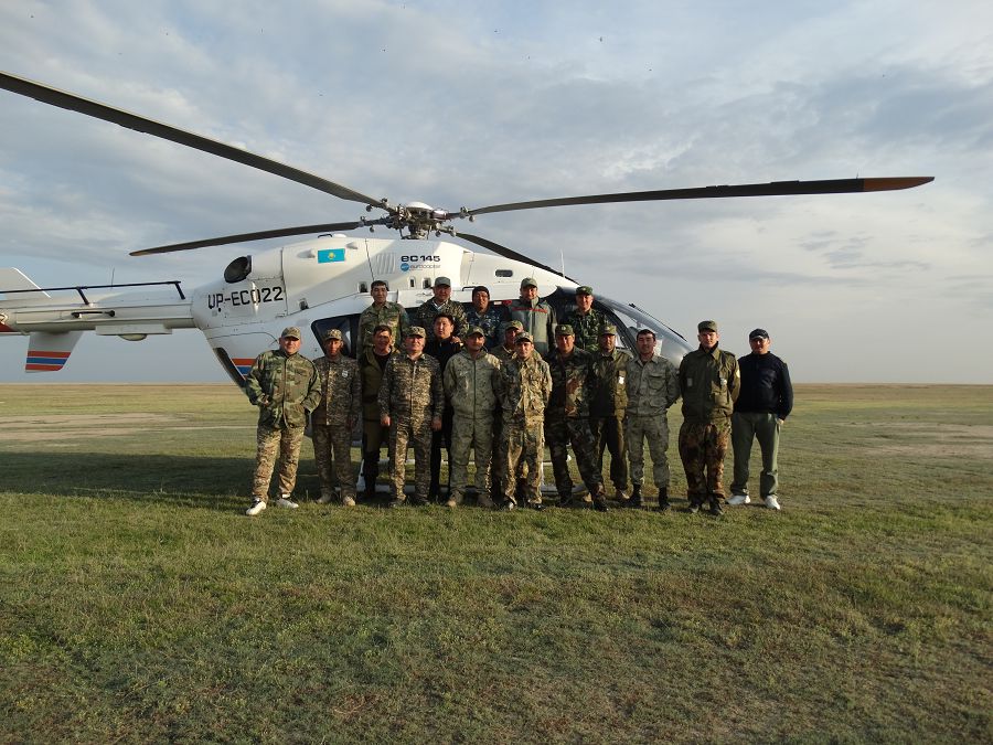 Кең даланың киесі киіктер көбейіп келеді