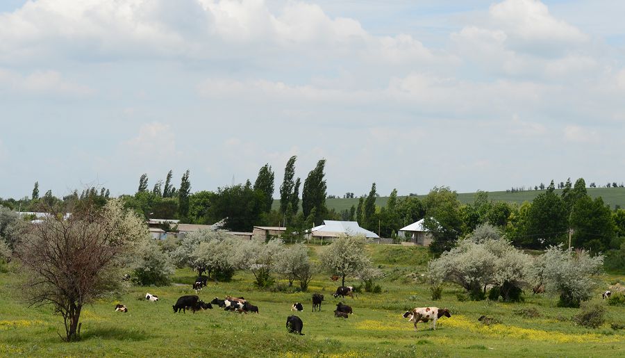Бағалау әдісіндегі өзгеріс болашағы жоқ ауылдарды сақтап қала ма?