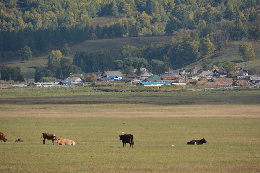 Жергілікті халықтың әлеуеті артады