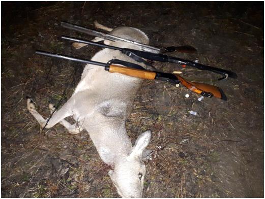 Қостанай облысында бір топ браконьер ұсталды