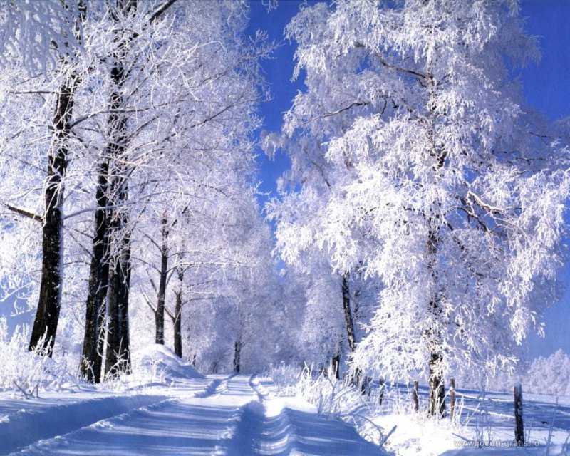 Күннің суытуы КВИ ауруының өршуіне әсер ете ме?