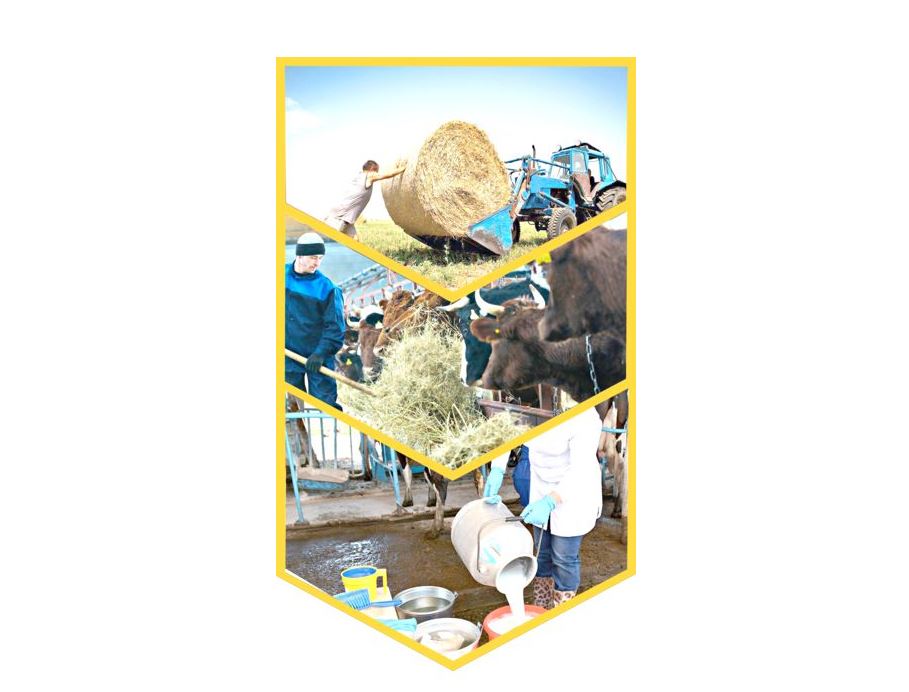 Өмірін адал еңбек ұзартқан