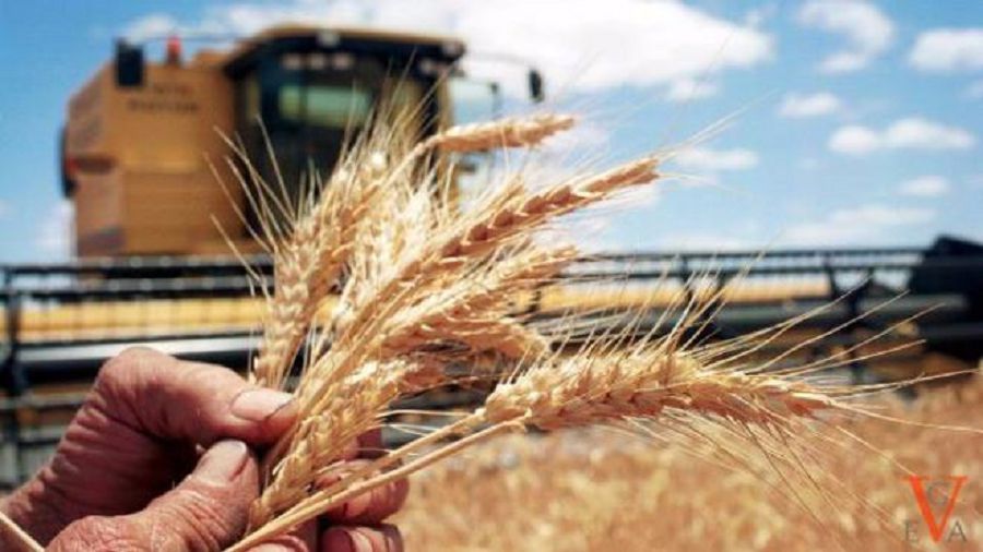 Жер иесін тапса, игілік молаяды