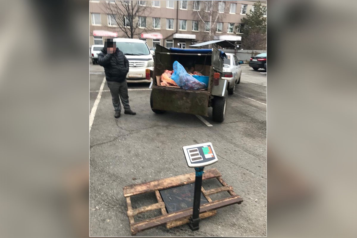 СҚО полицейлері бір күн ішінде 4 мал ұрлығын ашты