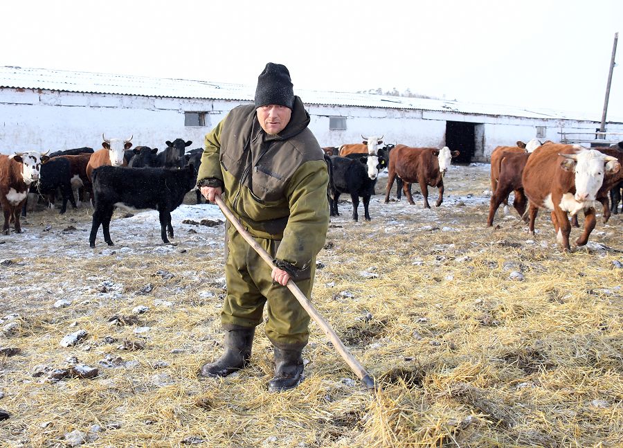 Туған ауылын түлеткен