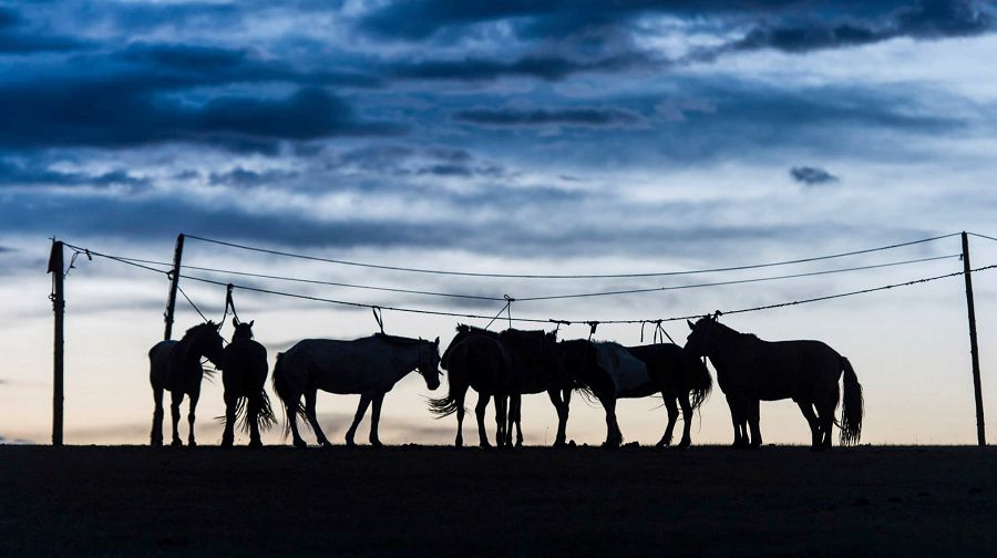 Көшпенділердің керме мәдениеті
