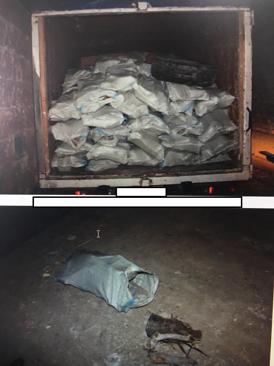 Орманшыларға бағынбағандар  ұсталды