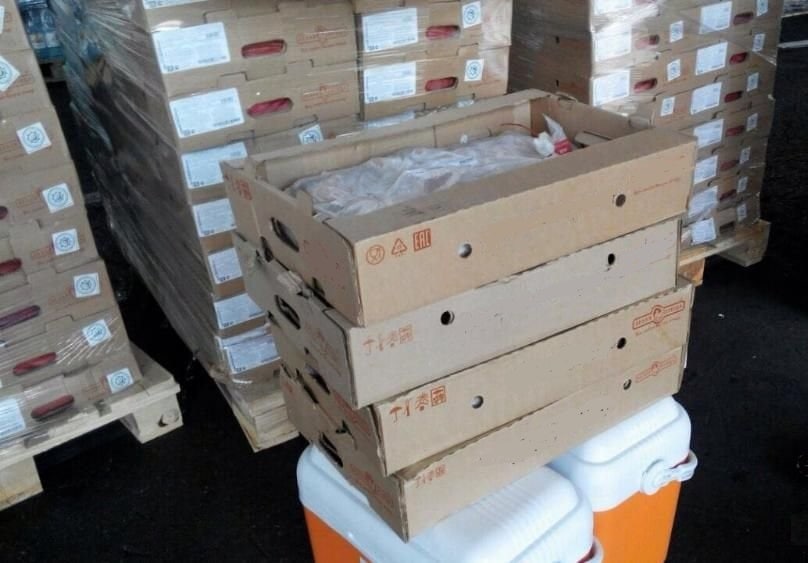 Ресейден әкелінген құс еті өнімдерінің сыртқы қаптамаларынан коронавирус анықталды