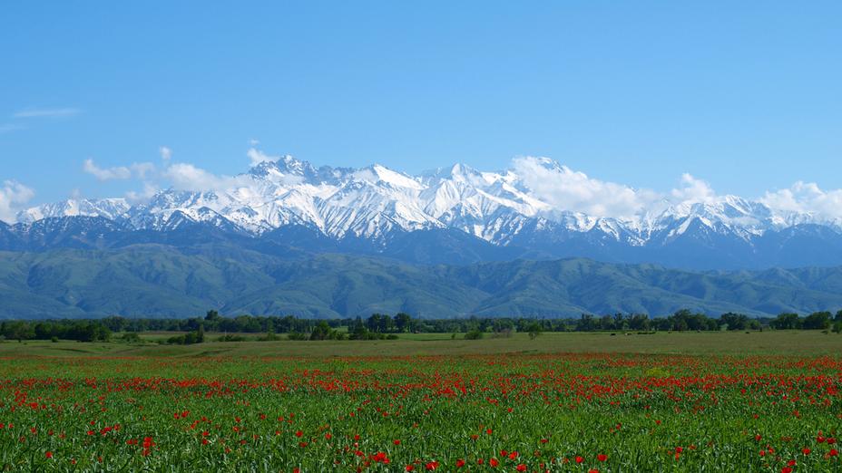 Бір шымшым топырақ