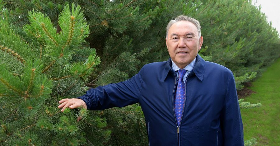 Тұңғыш Президент және дамудың қазақстандық моделі