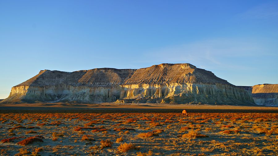 Tour de Маңғыстау