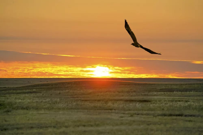 Мыңжылдық дала фольклоры